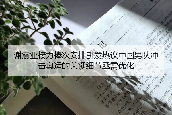 谢震业接力棒次安排引发热议中国男队冲击奥运的关键细节亟需优化