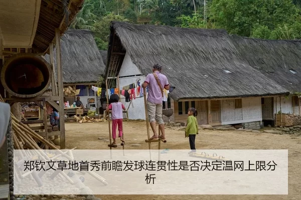郑钦文草地首秀前瞻发球连贯性是否决定温网上限分析