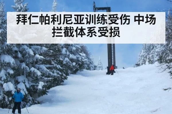拜仁帕利尼亚训练受伤 中场拦截体系受损